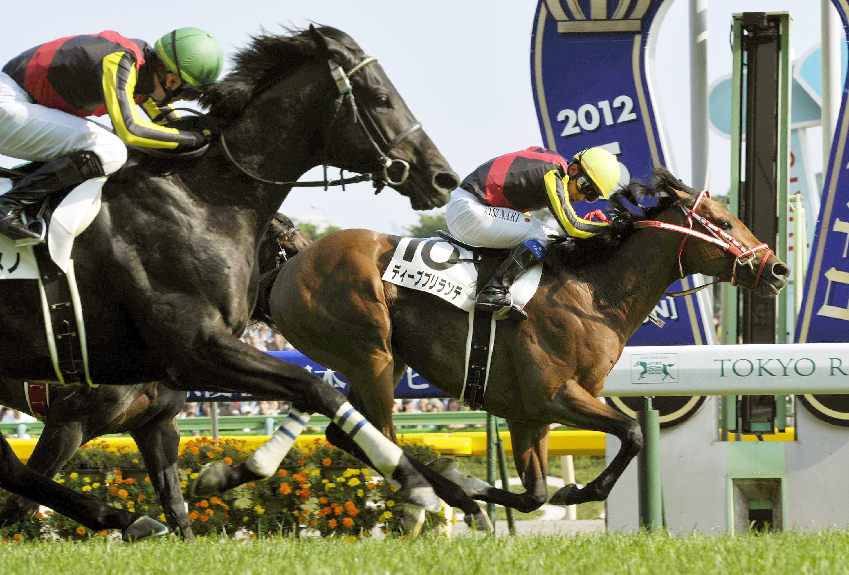 Inside Japan's racehorse breeding empire The Japan Times