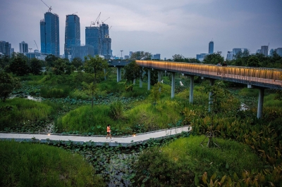 Big, smoggy Bangkok gets a badly needed breath of fresh air