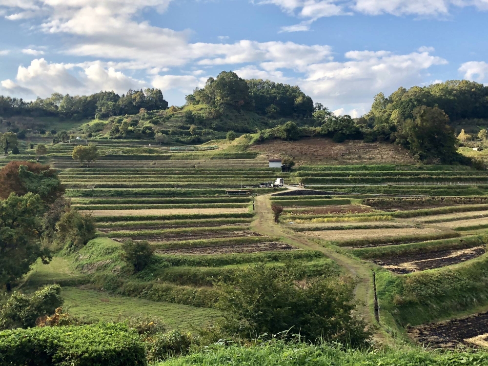 Cycling through Asuka, the forgotten capital of ancient Japan