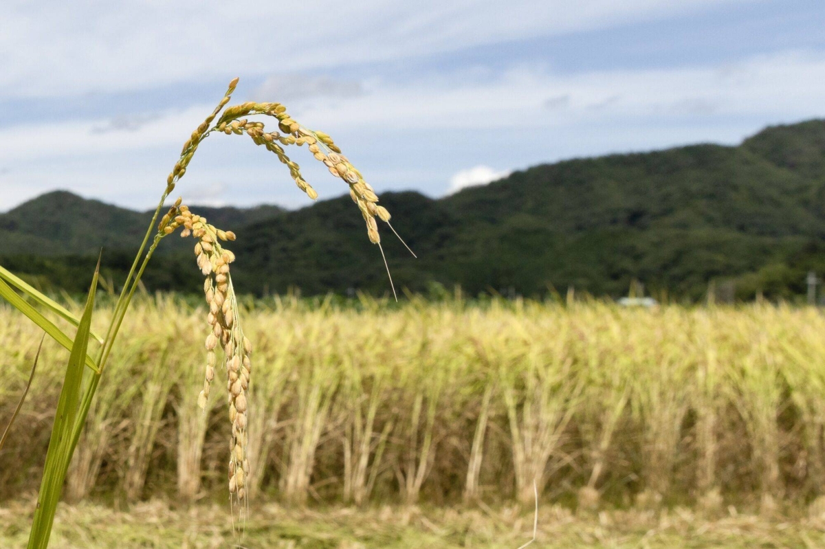 Japan core consumer prices up 2.8% in August