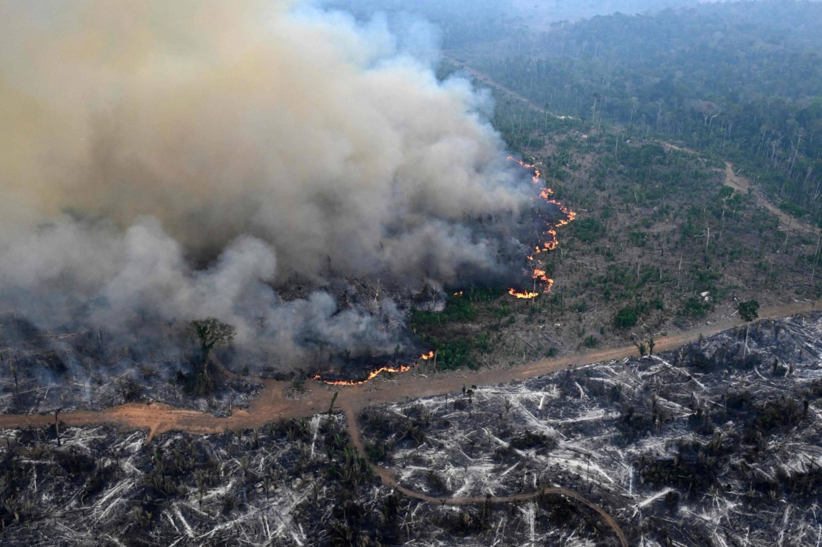 Amazon forest loses space the dimensions of Germany and France, fueling fires