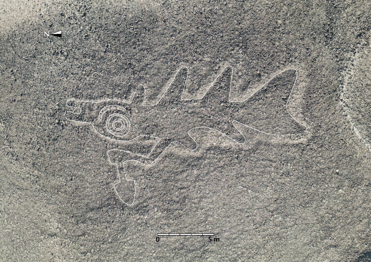 Yamagata University unearths 303 Nazca Lines in Peru