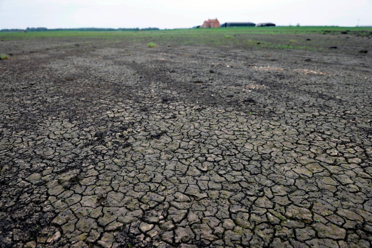 Rising food costs due to extreme weather likely to drive up grocery bills