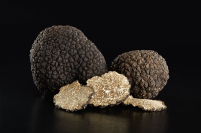 Japan researchers achieve second success in artificial black truffle cultivation