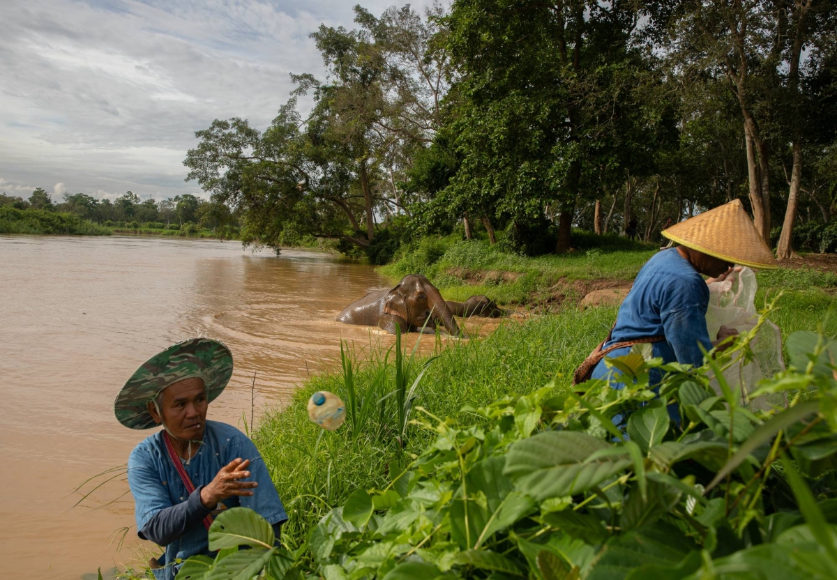 The mighty Mekong River’s rising plastic downside