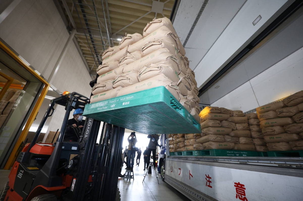 Portion of government rice stockpile to hit shelves as early as next week