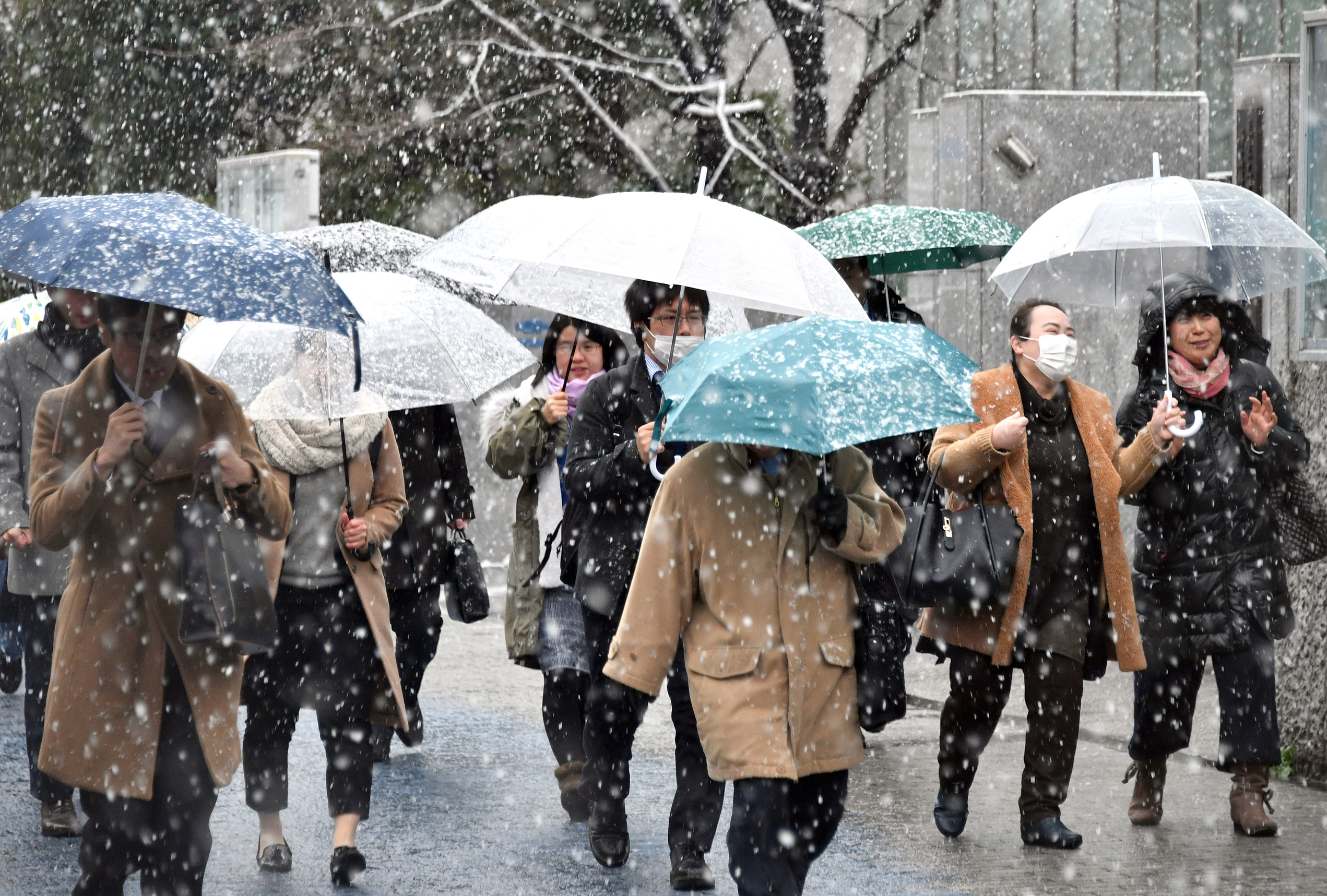 Rainy season ends in Japan's Kanto-Koshin region, giving way to