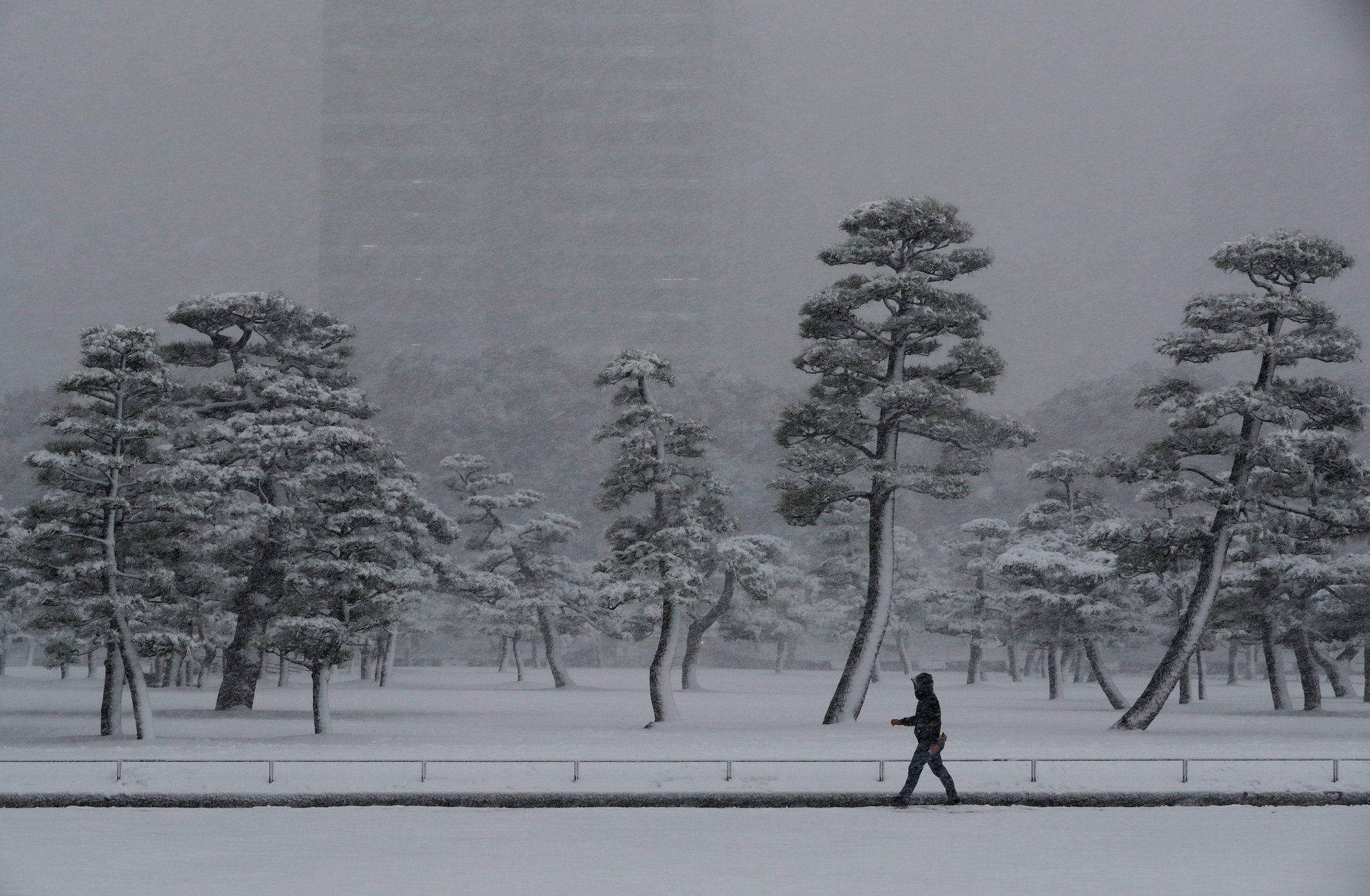 Heaviest Snow in 7 Years Strikes Tokyo