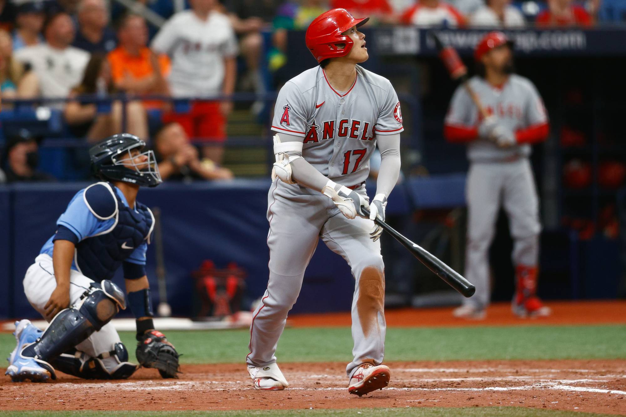 The Shohei Ohtani Sweepstakes and how the Rays can win it