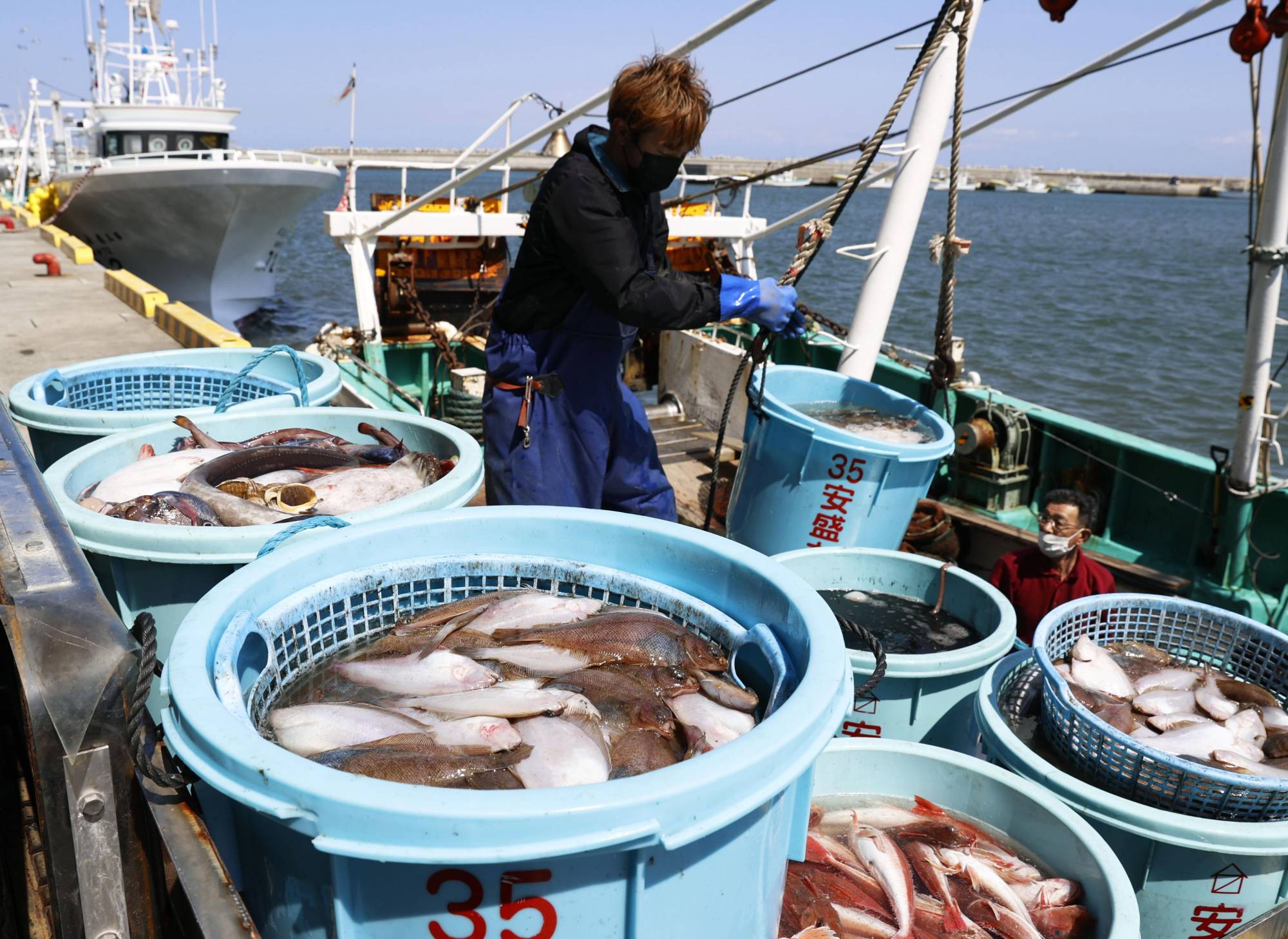 Fish Scale Buyers In Japan - Temu