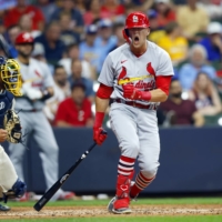 Cardinals in the World Baseball Classic