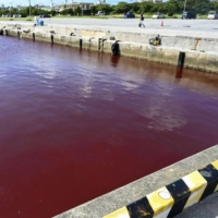 The fishing port of Nago, Okinawa Prefecture, is turned red Tuesday due to leaks of a coolant from an Orion Breweries\'s beer plant.  | KYODO