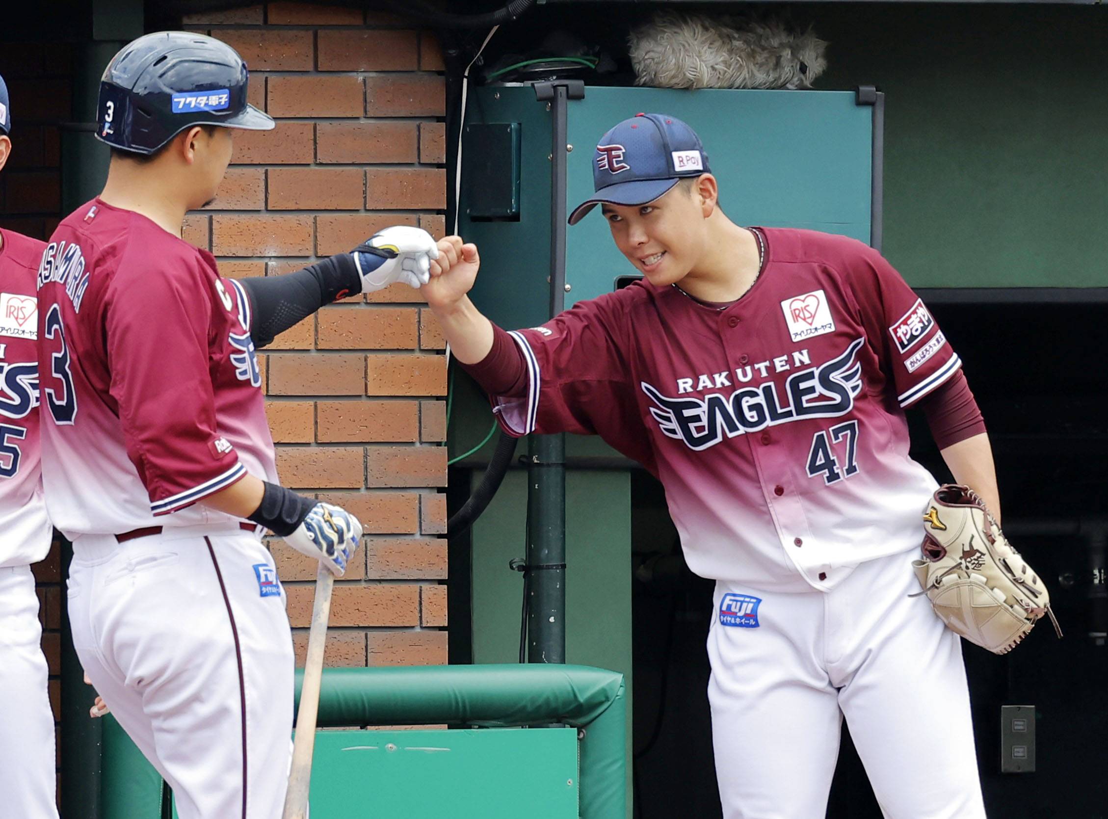 Masaru Fujii And Hideto Asamura Boost Eagles To Fifth Straight Win The Japan Times