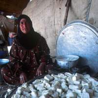 My host\'s second wife with a mound of sheep\'s-milk cheese she just made. | (c) VIENNA/KENZOU KUWATA