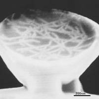 For the dieter: \"Carbon nanotube ramen\" in a bowl with diameter measuring one-thousandth of a millimeter is seen in this December 2006 photomicrograph released last week by the Nakao Hamaguchi Lab at the University of Tokyo. | AP PHOTO