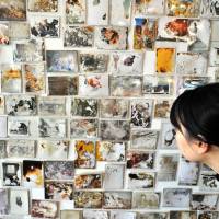 Powerful images: A woman views family photos swept away in the March 11 tsunami and later recovered, at the Akaaka Gallery in Minato Ward, Tokyo, on Wednesday. About 1,500 such photos are on display in the exhibition titled \"Lost &amp; Found,\" which runs through Feb. 11. | YOSHIAKI MIURA