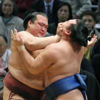 Brute force: Kisenosato uses neck thrusts to overwhelm Kakuryu at the Kyushu Grand Sumo Tournament on Friday. | KYODO
