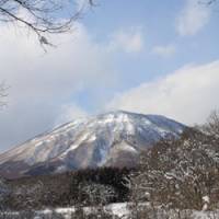 Winter wonderland: A seasonal view from the cozy Nicol abode. | ANDREW KERSHAW PHOTO