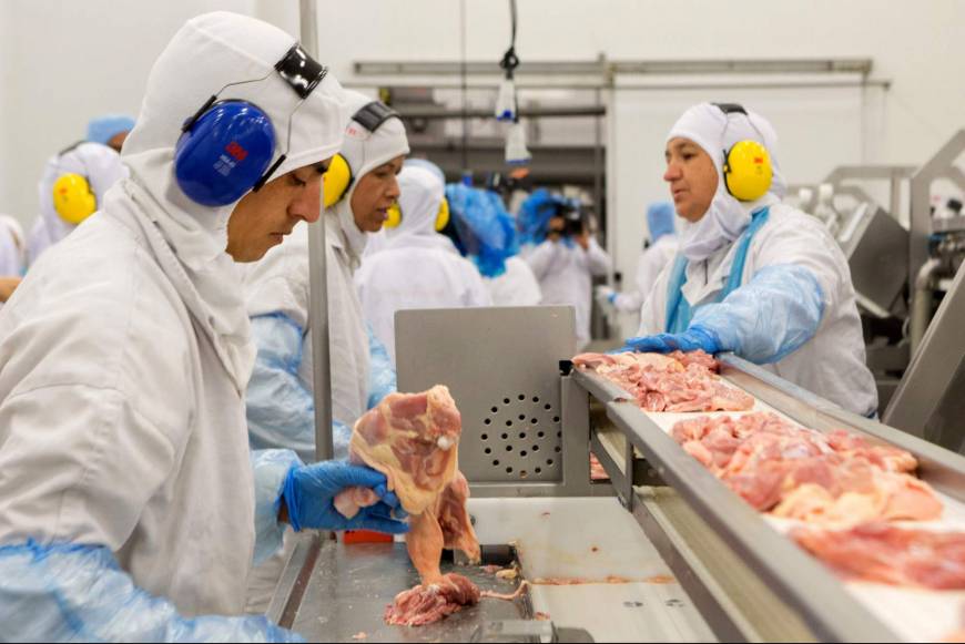 Government bans Brazilian meat producers over bribery scandal, says ...