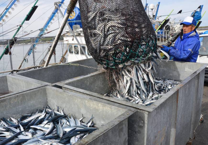 Japanese saury fishing boat off Hokkaido is checked then ...