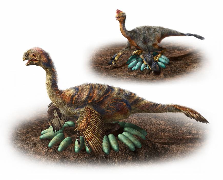 first newborn dinosaur that rarely hatch out of the egg