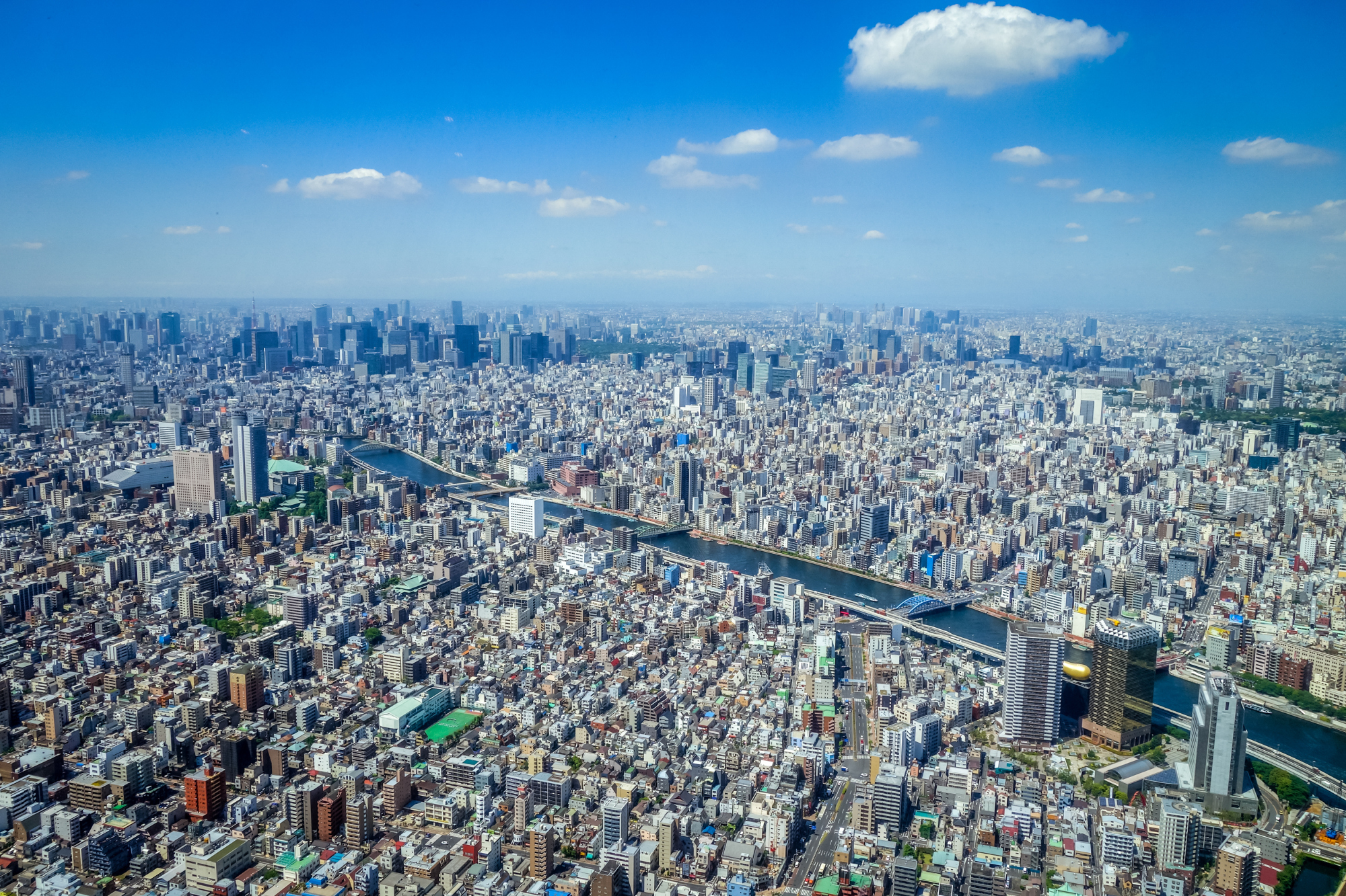 Why is Tokyo the biggest city in Japan?