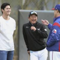 Daisuke Matsuzaka sustains freak injury during spring training - The Boston  Globe