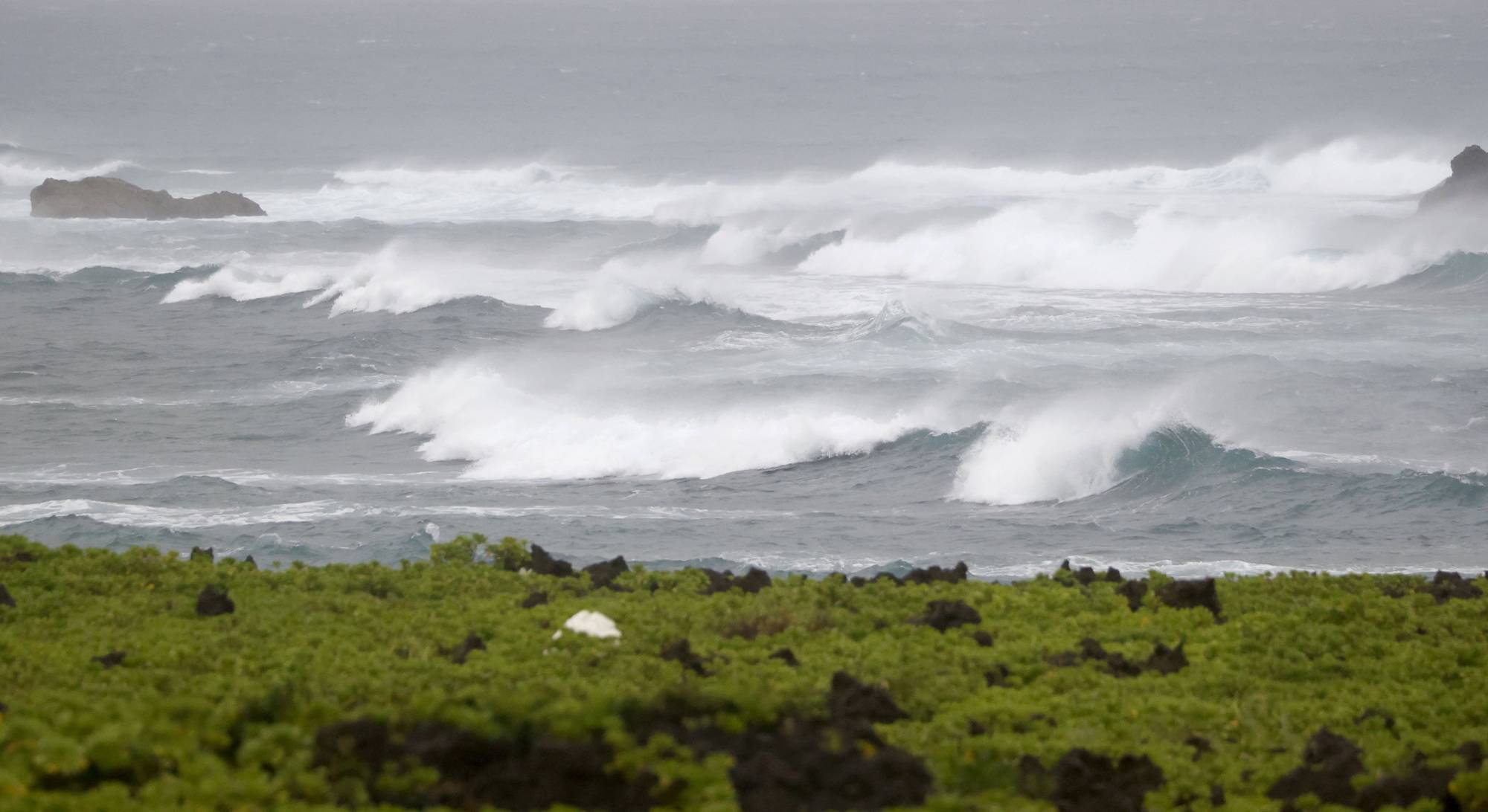 Jeju Vs Okinawa