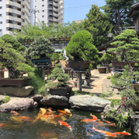 Tokyo’s Shunkaen Bonsai Museum