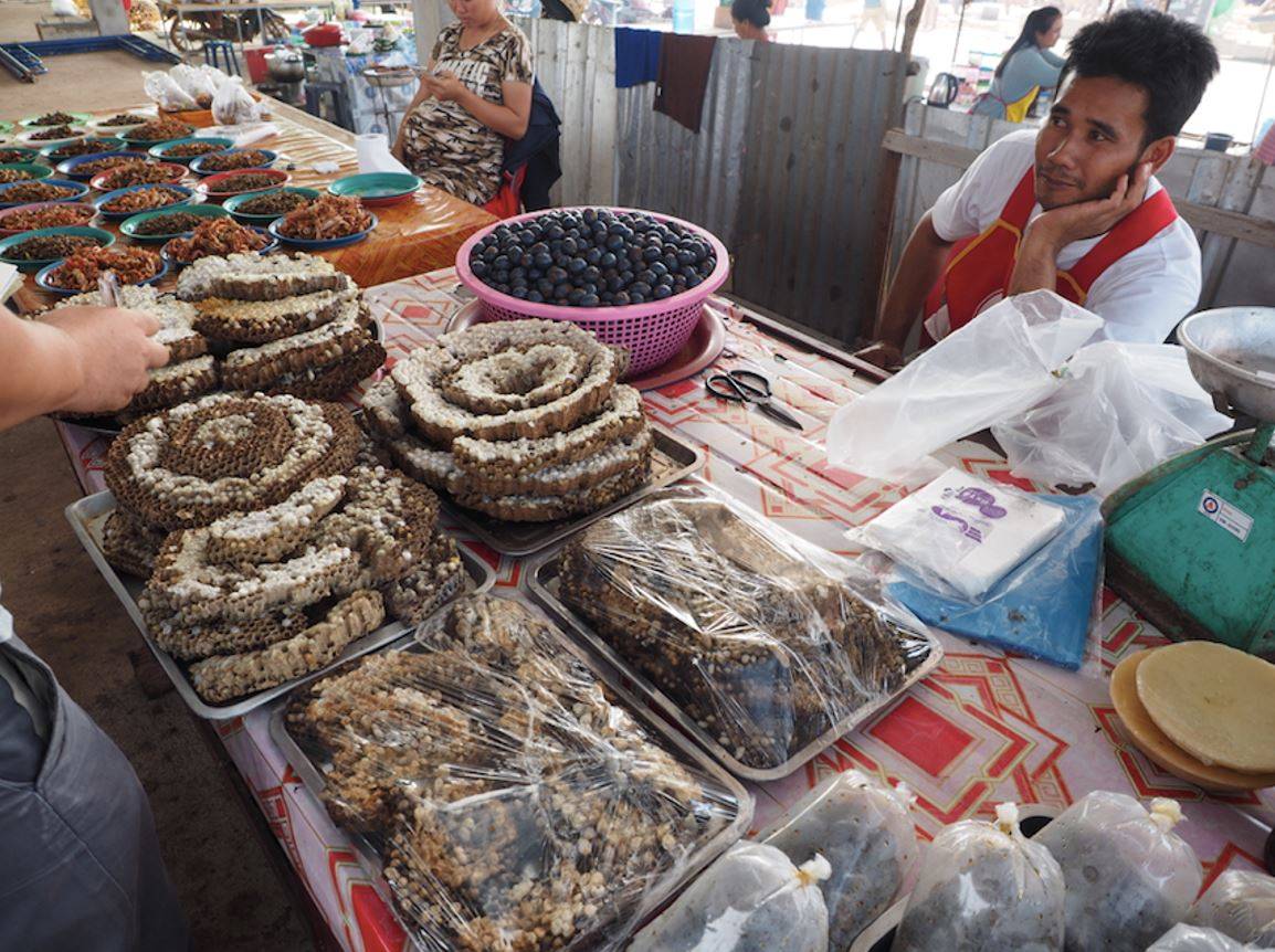 All kinds of foods involving insects, including beehives, are sold at a market in Laos. | COURTESY OF KOJI MIZOTA / VIA KAHOKU SHIMPO