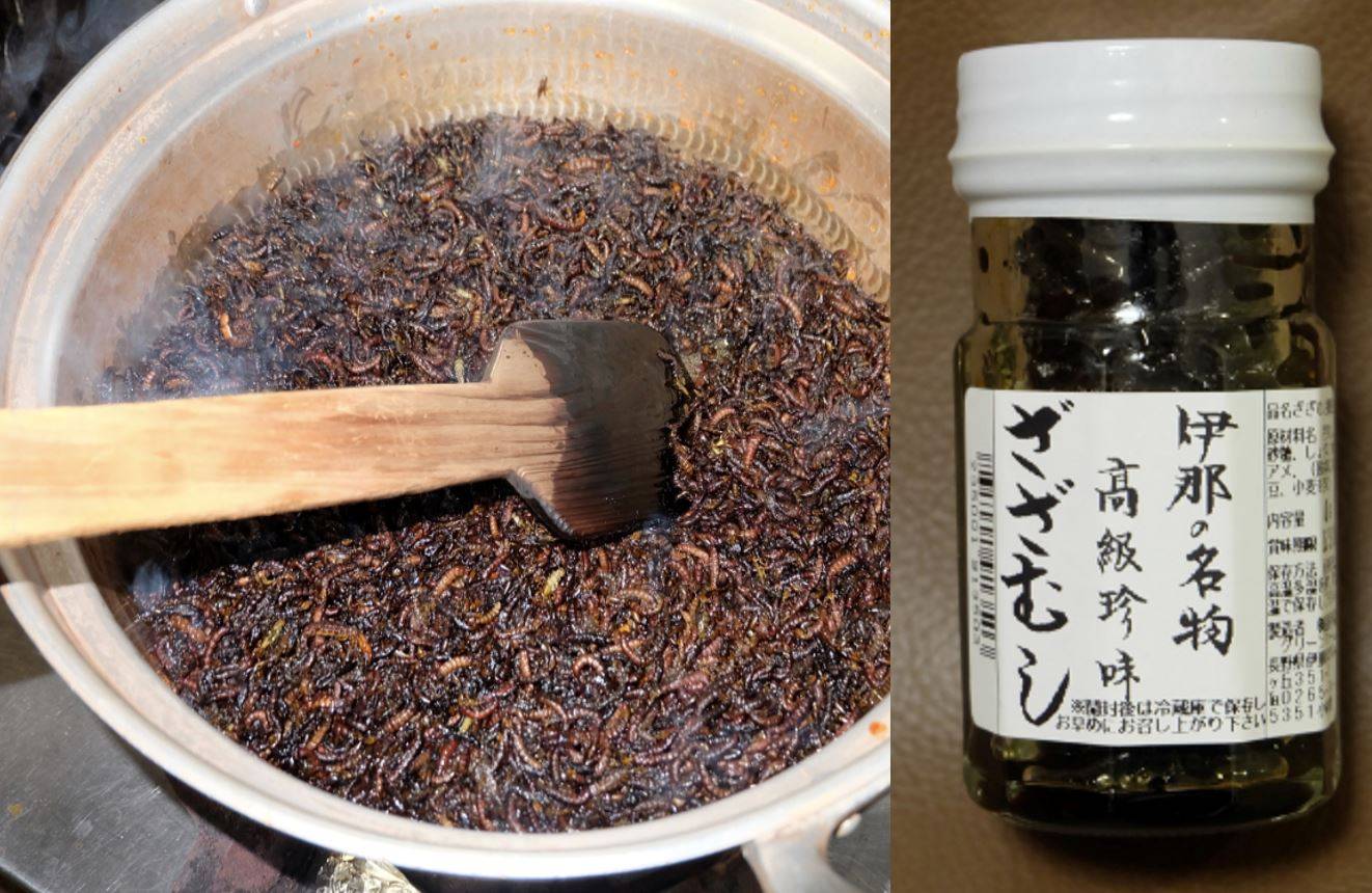Zazamushi, larvae of aquatic insects cooked and sold for around ¥2,000 to ¥3,000 a bottle | COURTESY OF KOJI MIZOTA / VIA KAHOKU SHIMPO