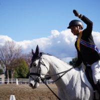 A former racehorse competes in the final round of the Retired Racehorse Cup held at Tokyo Racecourse on Dec. 18. | JRA