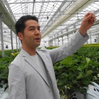 The General Reconstruction Association’s Hiroaki Yamane explains how technology is used in greenhouses. | KERRY FURUKAWA