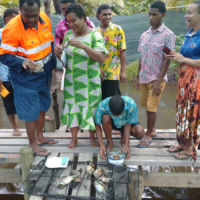 A Vanuatu Fisheries Ministry official (right) and a Fiji Fisheries Ministry official (second from left) visit the village of Vunuku as a young villager weighs mud crabs. | JICA