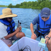 Monitors record environmental data to preserve coastal ecosystems, such as these mangrove forests in Palau. | JICA