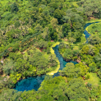 Landscape of a blue river in a jungle in Vanuatu
