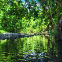 The Ravilevu Nature Reserve is a shining example of Fiji’s dedication to preserving mangroves. | GETTY IMAGES