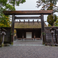 The buildings at Ise Shrine have been rebuilt every 20 years for about 13 consecutive centuries. For this reason, the shrine regularly cultivates large hinoki trees.
