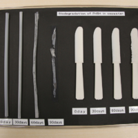 A display shows how long it takes utensils and other items made of Green Planet to degrade in seawater. | KANEKA CORP.