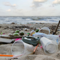 Plastic alternative that offers carbon dioxide fix