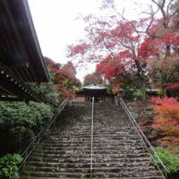 Negoroji temple is one of 88 that must be visited to complete the roughly 1,400-km Buddhist pilgrimage known as the Shikoku Henro, part of which runs through Kagawa Prefecture.