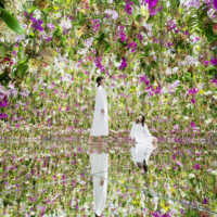 TeamLab’s "Floating Flower Garden: Flowers and I are of the Same Root, the Garden and I are One" | TEAMLAB